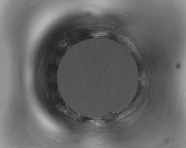 X0000093720763200710231132