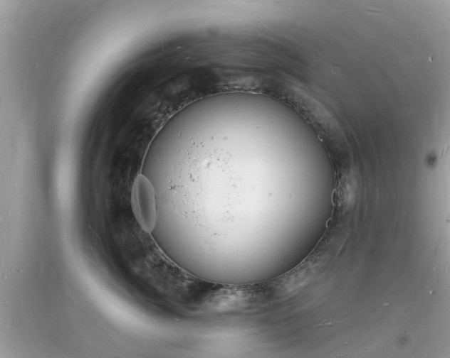 X0000093720764200710231132