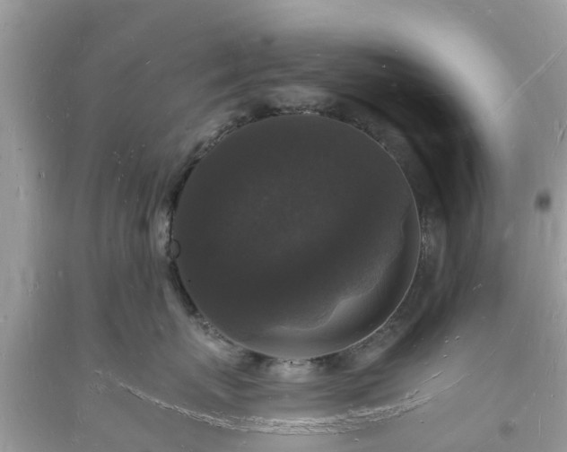 X0000093720767200710231132