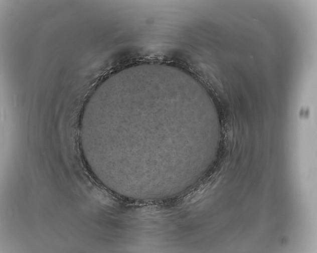 X0000093720769200710231131