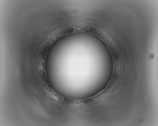X0000093720770200710231131