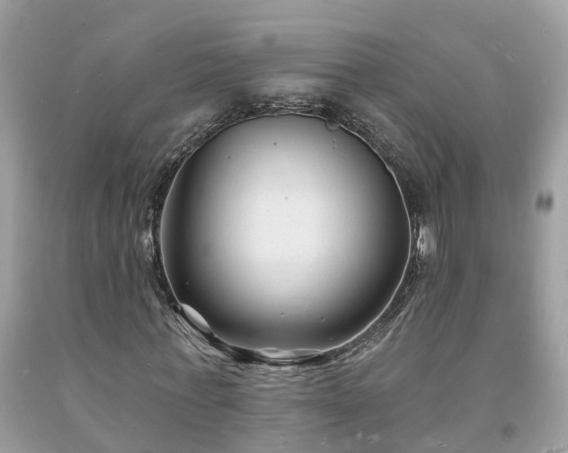 X0000093720771200710231131