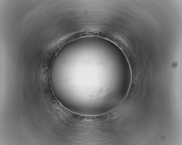 X0000093720773200710231131