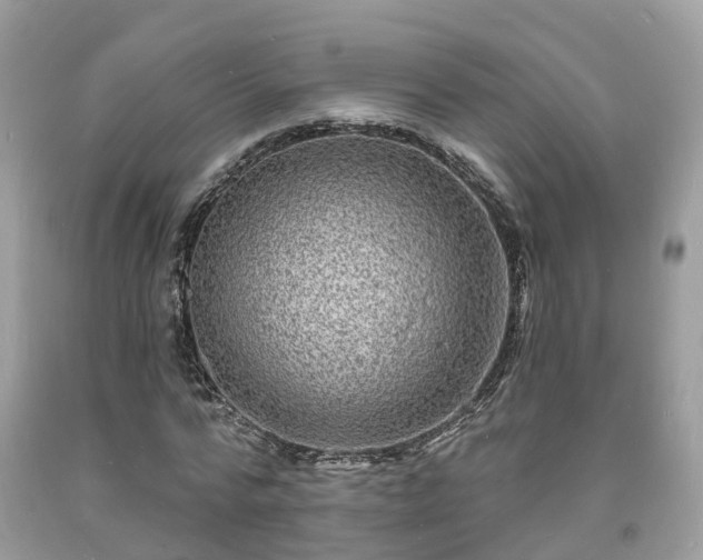 X0000093720776200710231131