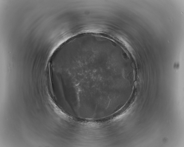 X0000093720779200710231131