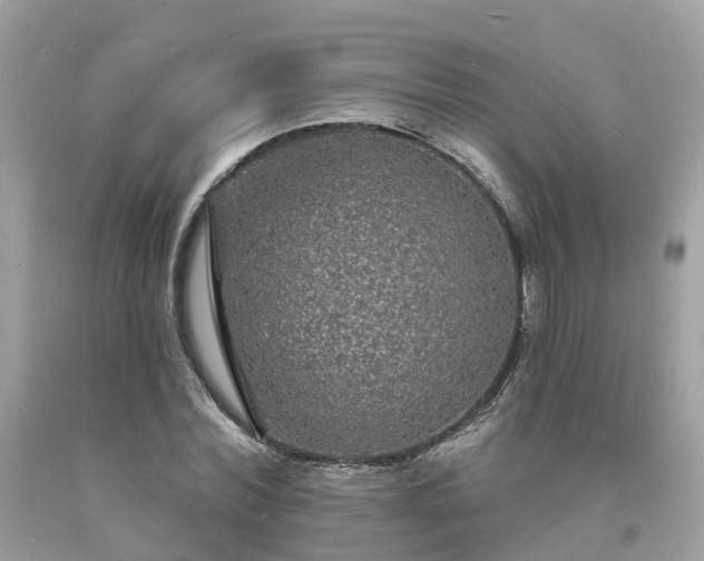 X0000093720780200710231131