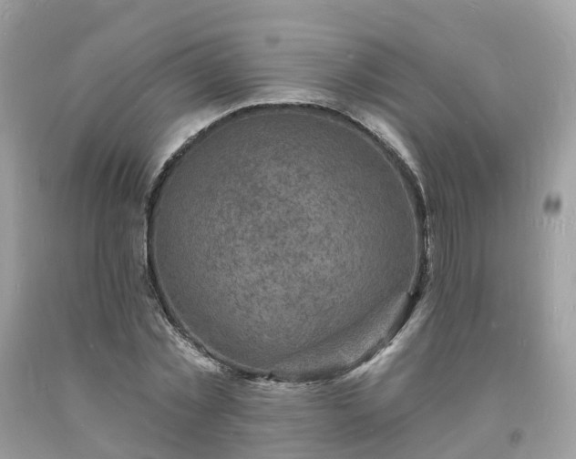 X0000093720781200710231131