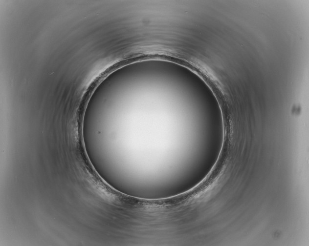 X0000093720782200710231131