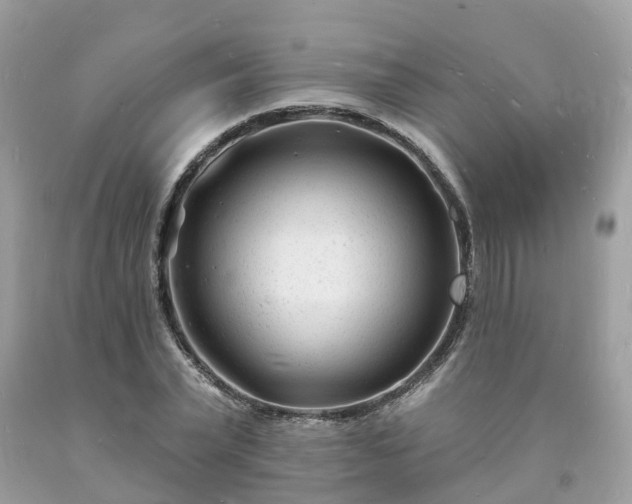 X0000093720783200710231131