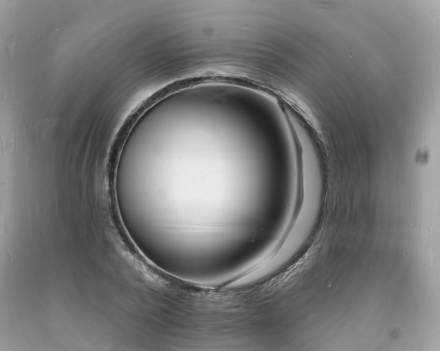 X0000093720784200710231131