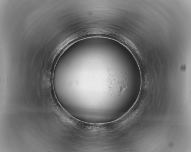 X0000093720786200710231131