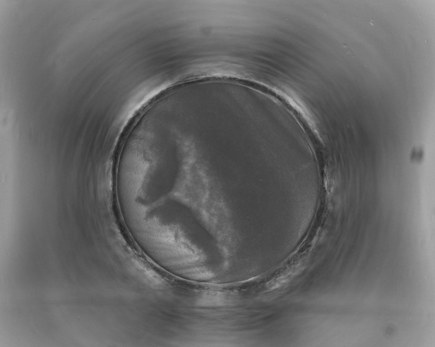 X0000093720790200710231131