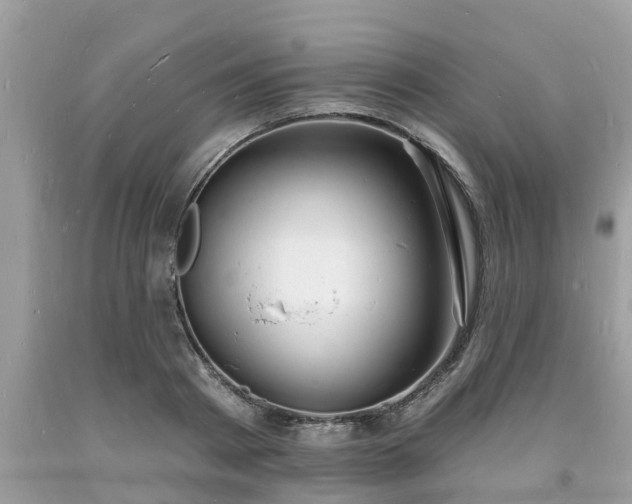 X0000093720793200710231131