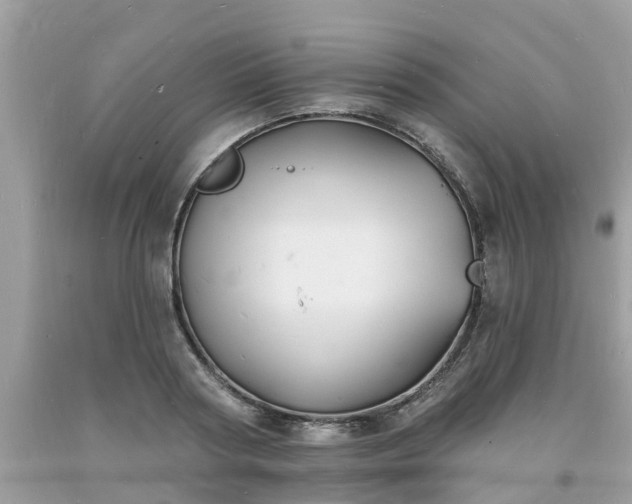 X0000093720794200710231131