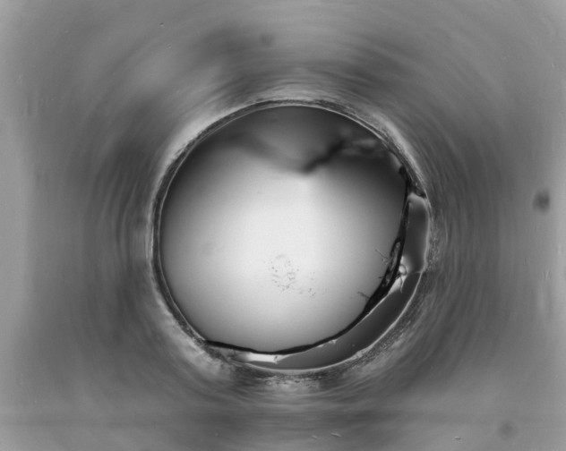 X0000093720795200710231131