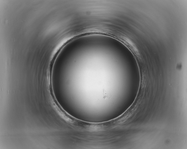 X0000093720796200710231131