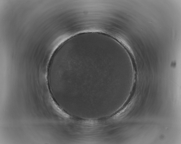 X0000093720797200710231131