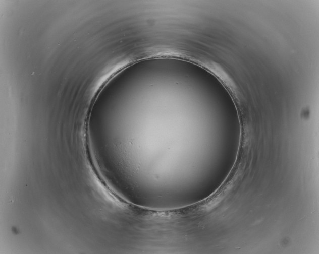X0000093720806200710231131