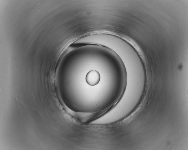 X0000093720809200710231131
