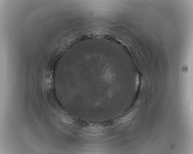 X0000093720818200710231130
