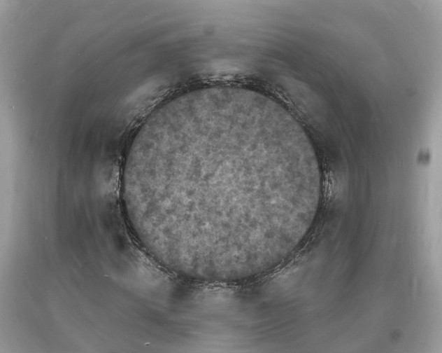 X0000093720820200710231130