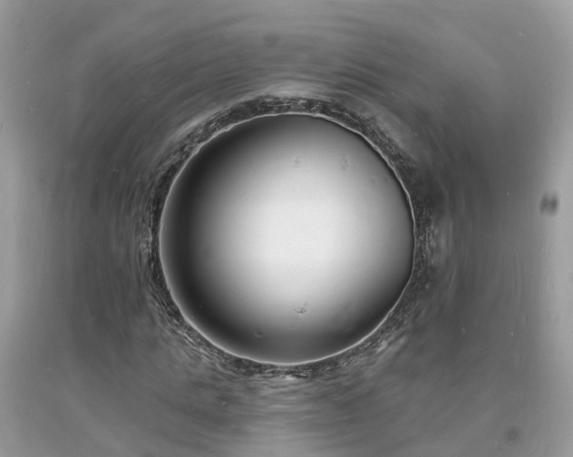 X0000093720821200710231130