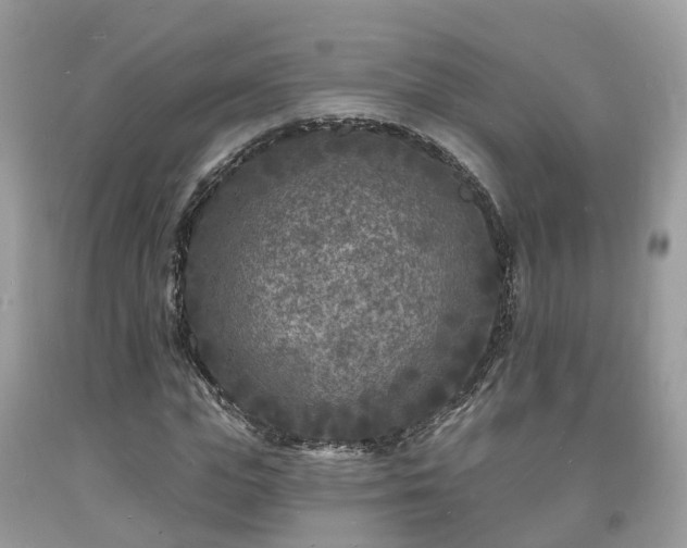 X0000093720823200710231130