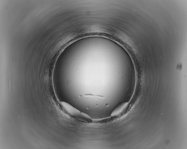 X0000093720825200710231130