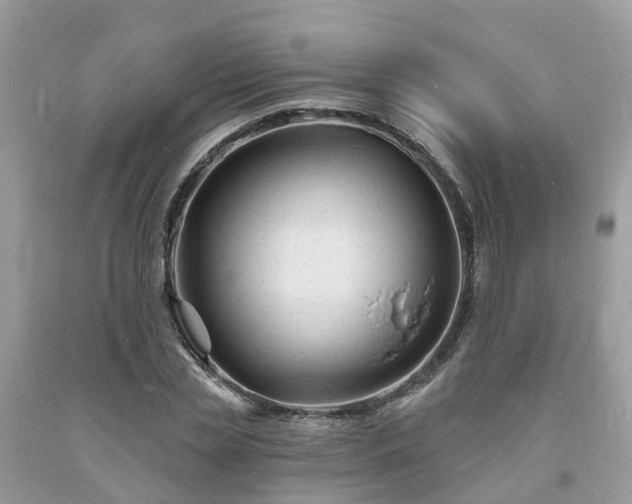 X0000093720829200710231130