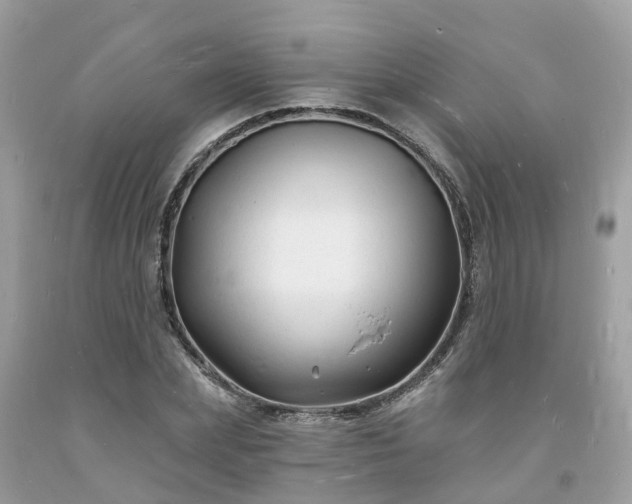 X0000093720831200710231130