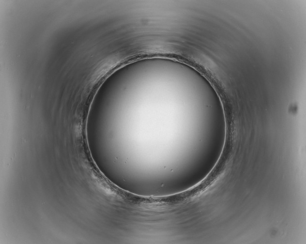 X0000093720833200710231130