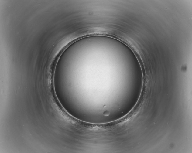 X0000093720835200710231130