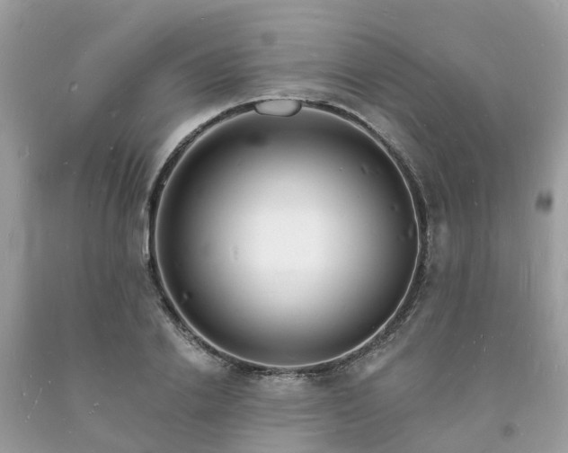 X0000093720838200710231130