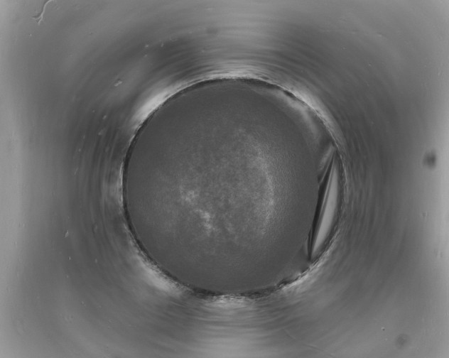 X0000093720842200710231130