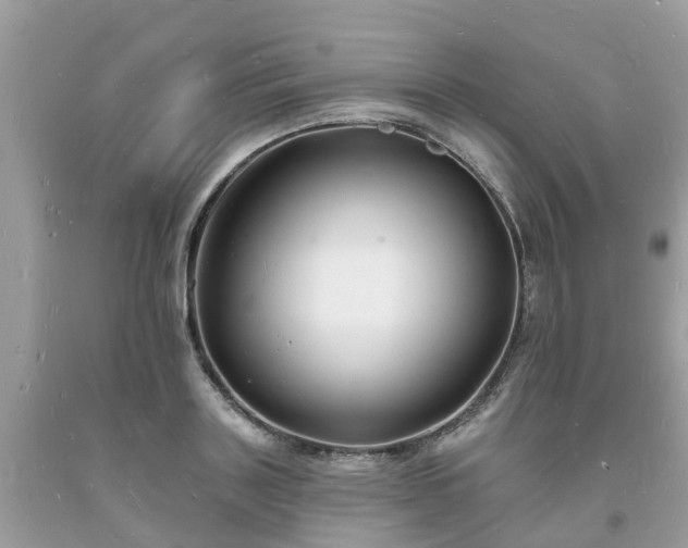 X0000093720843200710231130