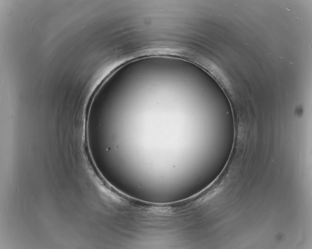 X0000093720844200710231130
