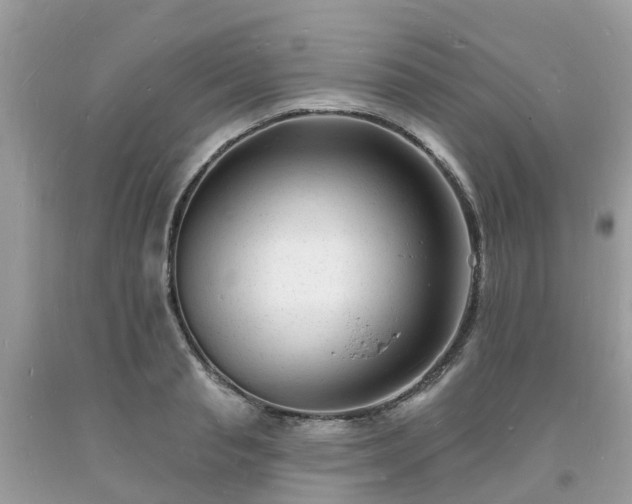 X0000093720845200710231130