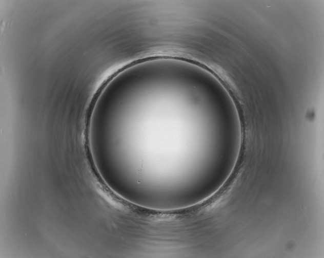 X0000093720846200710231130