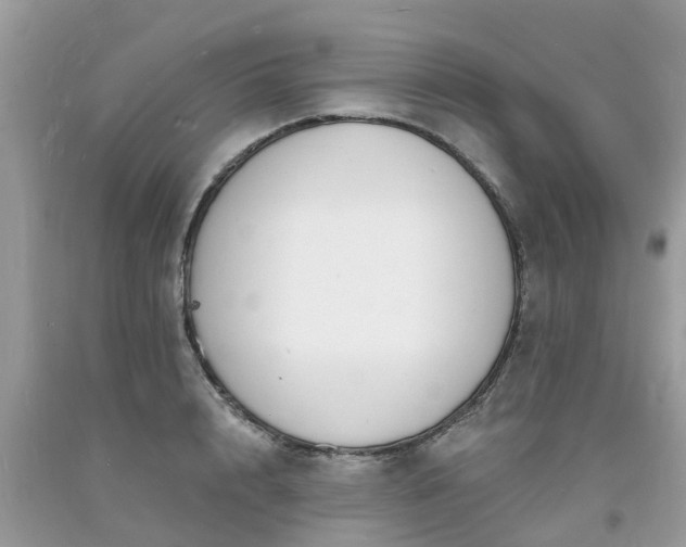 X0000093720848200710231130