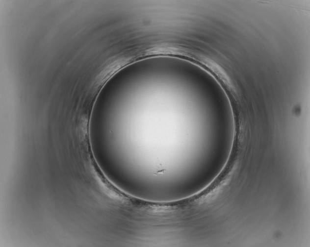X0000093720849200710231130