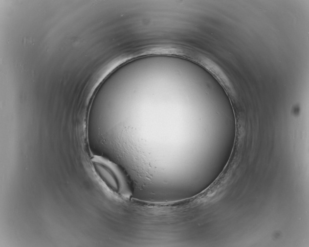X0000093720852200710231130