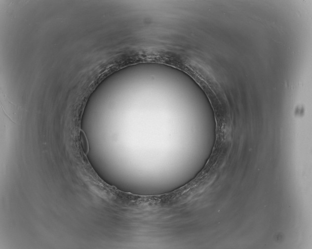 X0000093720865200710231130