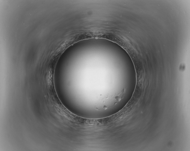 X0000093720866200710231130