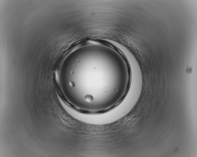 X0000093720868200710231130