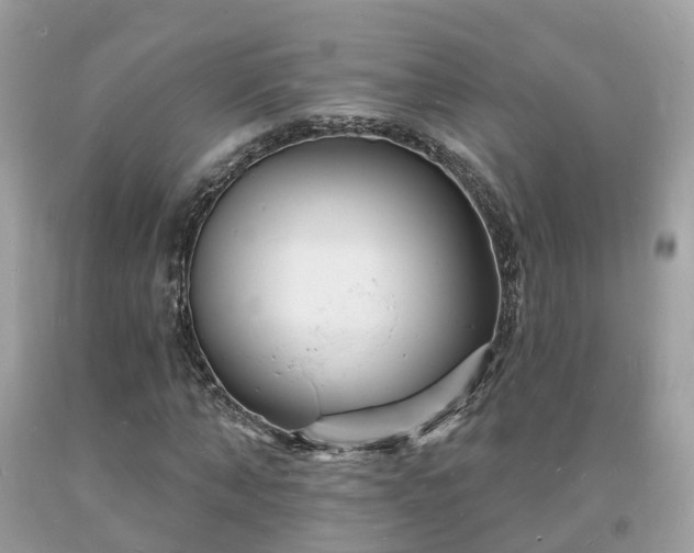 X0000093720870200710231130