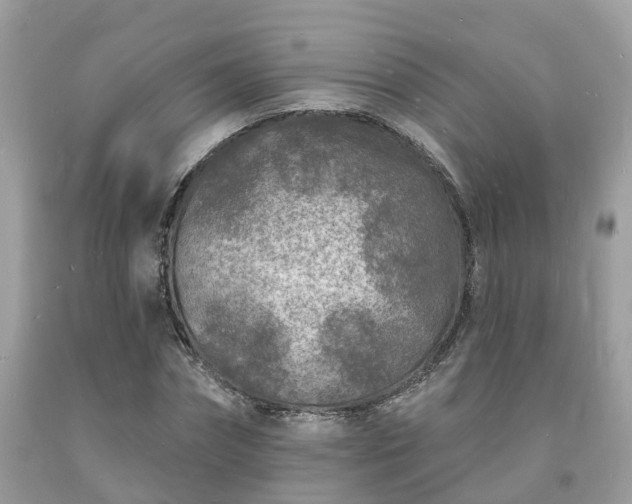 X0000093720874200710231130