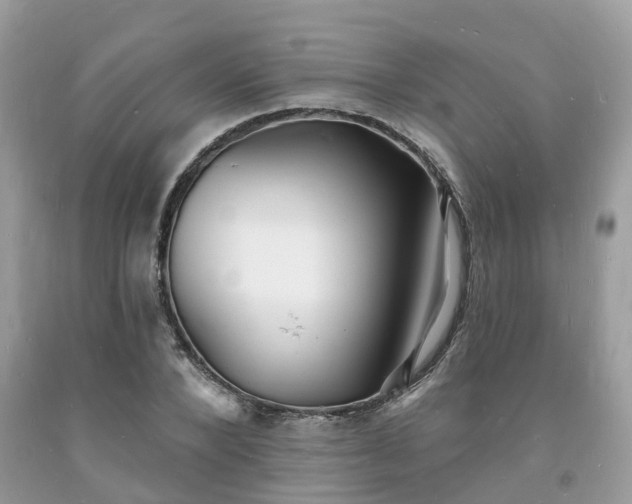 X0000093720880200710231130