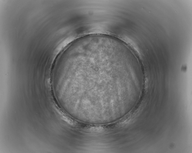 X0000093720882200710231130