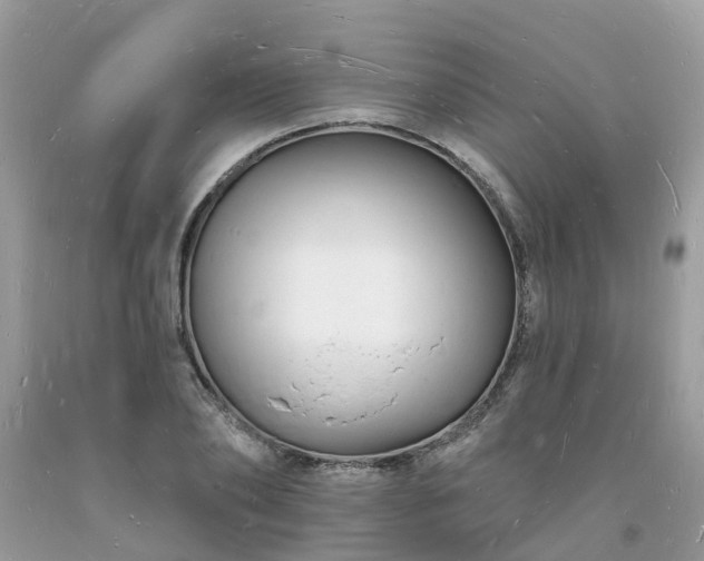 X0000093720886200710231130