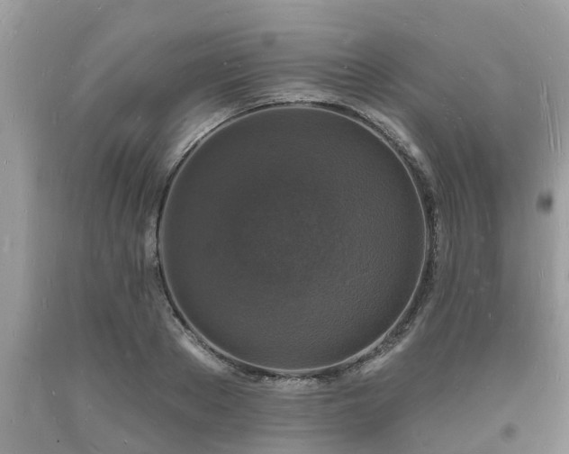 X0000093720889200710231130